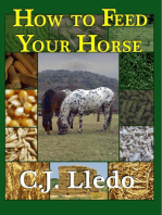 How to Feed Your Horse: An Owner's Guide to Calculating Your Horse's Diet