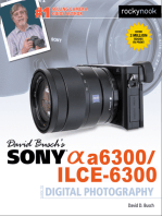 David Busch’s Sony Alpha a6300/ILCE-6300 Guide to Digital Photography