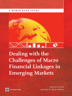 Dealing with the Challenges of Macro Financial Linkages in Emerging Markets