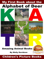 My First Book about the Alphabet of Deer: Amazing Animal Books - Children's Picture Books