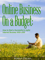 Online Business On a Budget: How to Start a Successful & Joyful Internet Business With $100