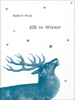 Elk in Winter