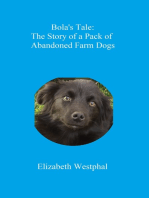 Bola's Tale: The Story of a Pack of Abandoned Farm Dogs