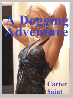A Dogging Adventure