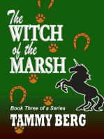 The Witch of the Marsh... Book Three of a Series