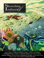 Shoreline of Infinity 4