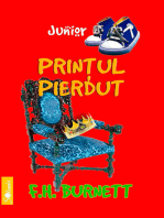 Prințul pierdut