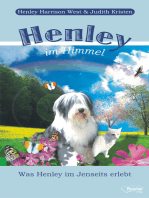 Henley im Himmel: Was Henley im Jenseits erlebt