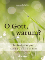 O Gott, warum?: Im Leid geborgen – Tagebuchnotizen