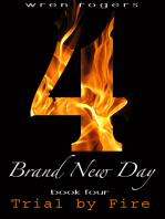 Brand New Day Book 4