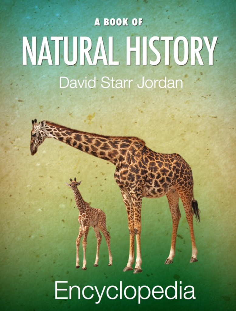 Read A Book of Natural History Online by David Starr Jordan Books