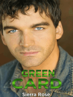 Green Card: The Fake Girlfriend/Marriage of Convenience, #3