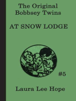 The Bobbsey Twins at Snow Lodge