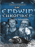 Die Endwin Chroniken: Dunkle Schatten
