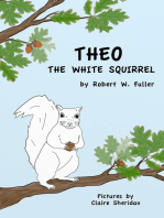 Theo the White Squirrel