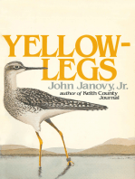 Yellowlegs