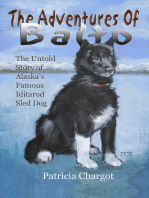 The Adventures of Balto: The Untold Story of Alaska's Famous Iditarod Sled Dog