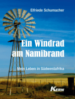 Ein Windrad am Namibrand