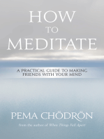 How to Meditate: A Practical Guide to Making Friends with Your Mind