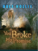 You Broke My Promise