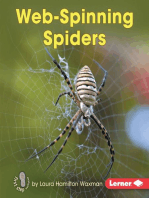 Web-Spinning Spiders