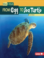 From Egg to Sea Turtle