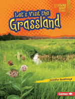 Let's Visit the Grassland