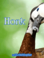 Honk