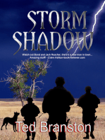 Storm Shadow