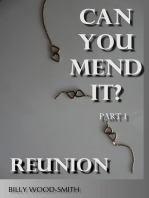 Can You Mend It?: Part 1: Reunion