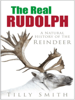 Real Rudolph: A Natural History of the Reindeer
