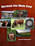 Herman the Male Cow