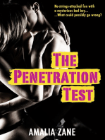 The Penetration Test