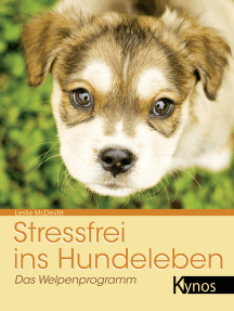 Stressfrei ins Hundeleben: Das Welpenprogramm