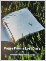 Pages from a lost diary