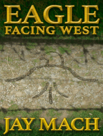 Eagle Facing West