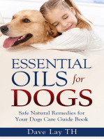 Essential Oils for Dogs