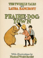 Prairie-Dog Town