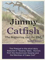 Jimmy Catfish: The Beginning and The End