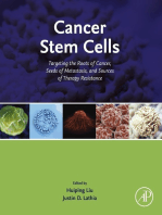 Cancer Stem Cells: Targeting the Roots of Cancer, Seeds of Metastasis, and Sources of Therapy Resistance