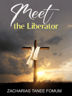 Meet The Liberator!