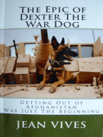 The Epic of Dexter the War Dog. Getting Out of Afghanistan Was Just the Beginning