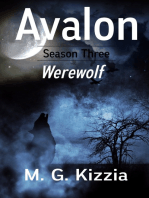 Avalon, Season Three, Werewolf
