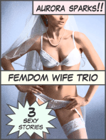 Femdom Wife Trio: Three Sexy Stories!