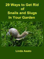 29 Ways to Get Rid of Snails and Slugs in Your Garden