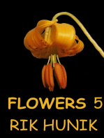 Flowers 5