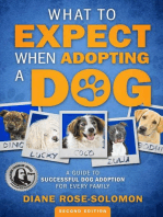 What to Expect When Adopting a Dog