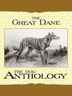 The Great Dane - A Dog Anthology (A Vintage Dog Books Breed Classic)