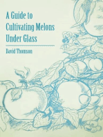 A Guide to Cultivating Melons Under Glass