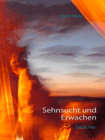 Sehnsucht und Erwachen: Das gesammelte Schweigen der Jahre im Feuer